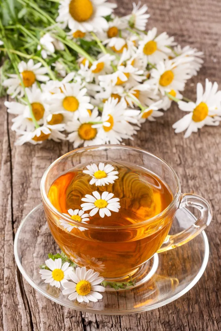 بهترین دمنوش گیاهی برای درد پریود